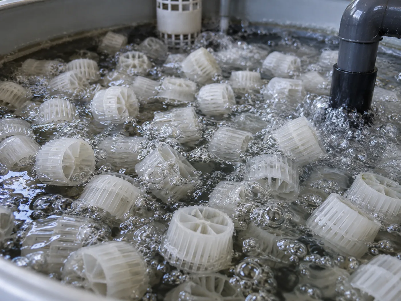 Close-up of aerated biofilter media used to support beneficial bacteria in aquaponics