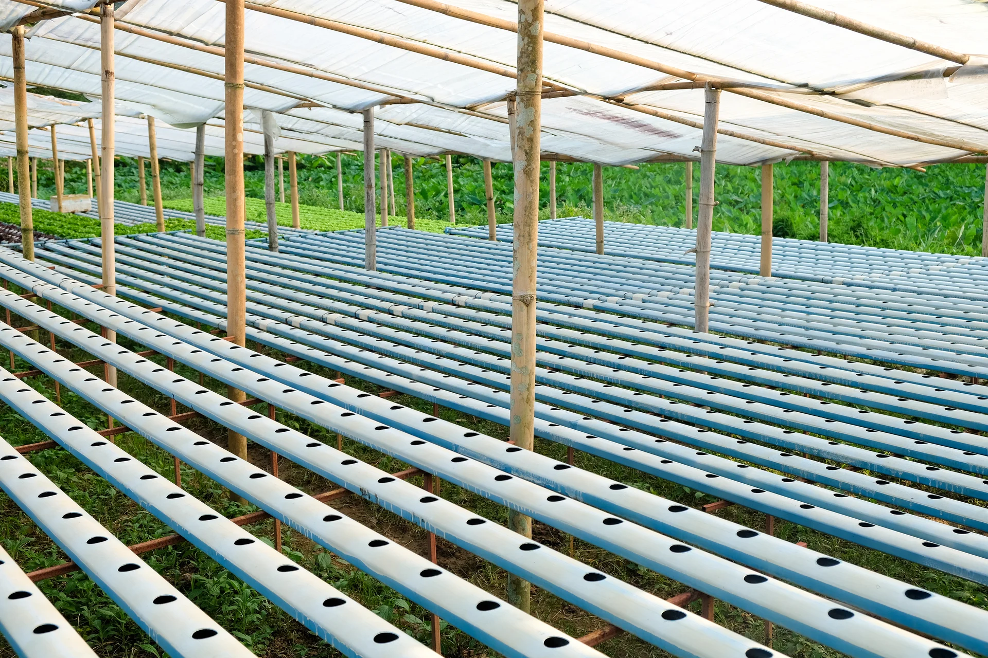 Commercial NFT channels prepared for a scalable community farm project