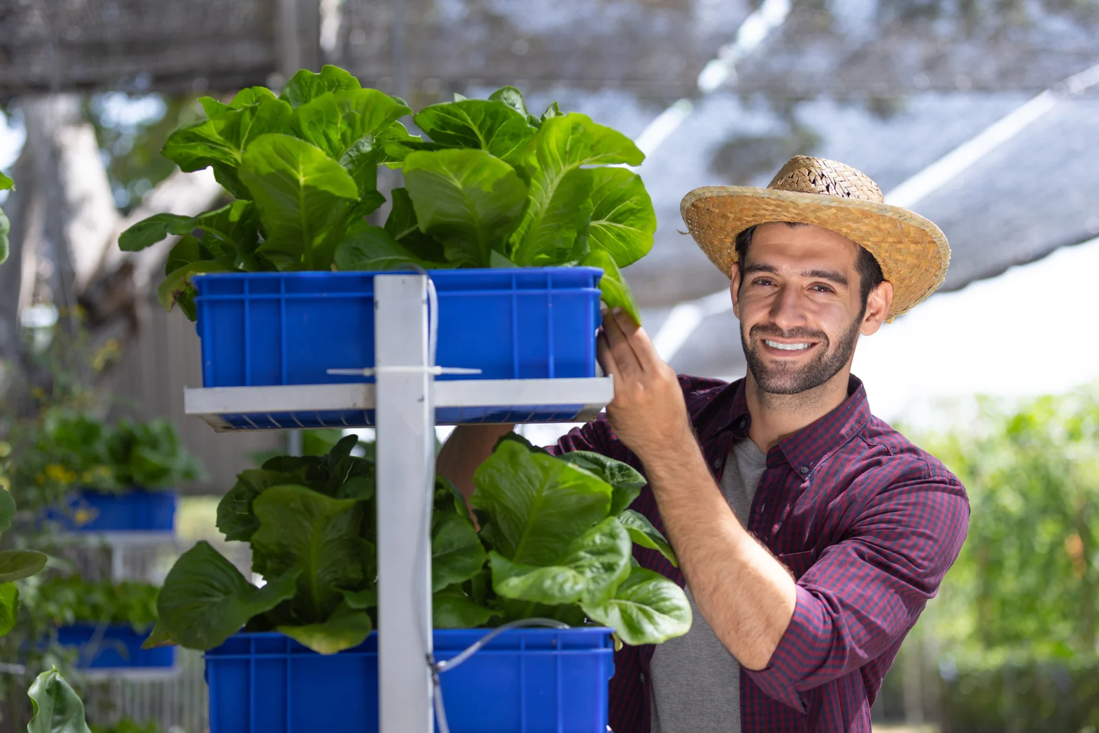 Community grower holding a blue container of fresh leafy greens at an urban food project