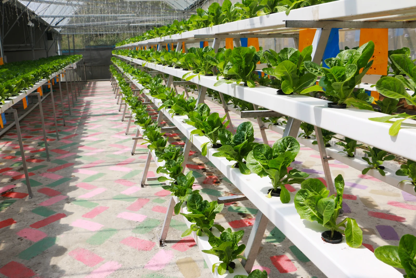 Indoor hydroponic grow beds used for a practical education demonstration
